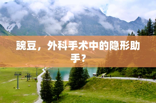 豌豆，外科手术中的隐形助手？