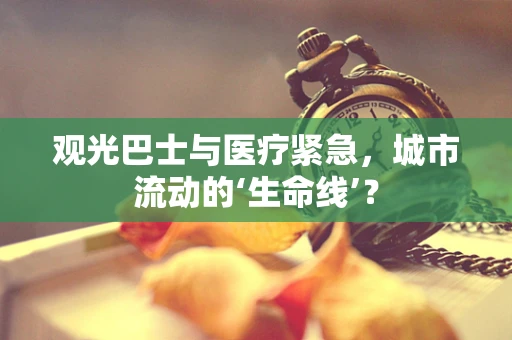 观光巴士与医疗紧急，城市流动的‘生命线’？