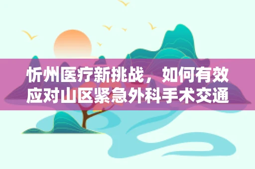 忻州医疗新挑战，如何有效应对山区紧急外科手术交通难题？