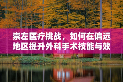 崇左医疗挑战，如何在偏远地区提升外科手术技能与效率？