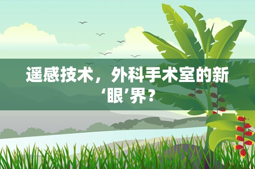 遥感技术，外科手术室的新‘眼’界？