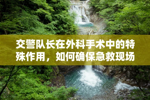 交警队长在外科手术中的特殊作用，如何确保急救现场的‘生命线’畅通？