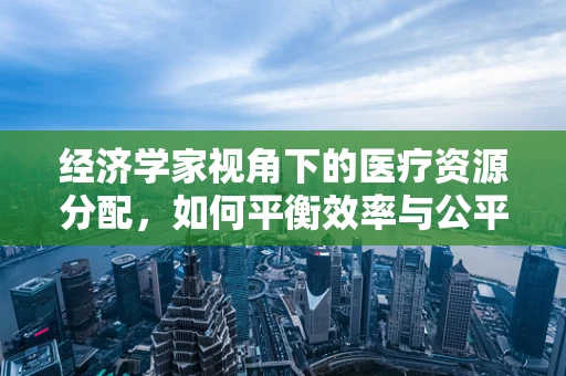 经济学家视角下的医疗资源分配，如何平衡效率与公平？