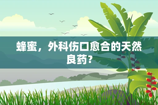 蜂蜜，外科伤口愈合的天然良药？