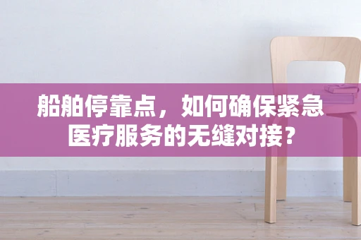 船舶停靠点，如何确保紧急医疗服务的无缝对接？