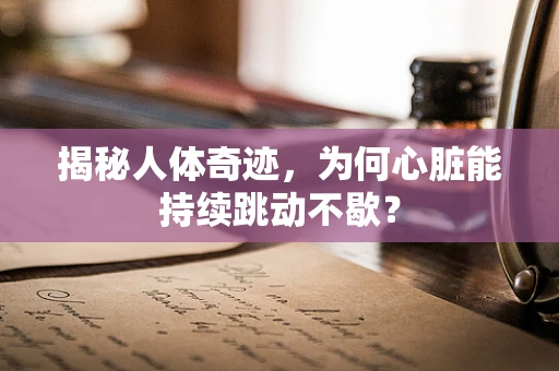 揭秘人体奇迹，为何心脏能持续跳动不歇？