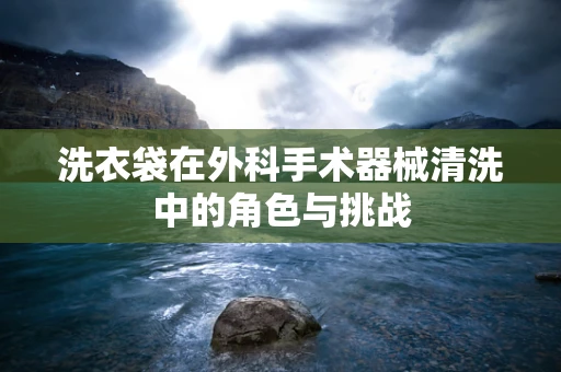 洗衣袋在外科手术器械清洗中的角色与挑战