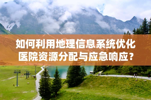 如何利用地理信息系统优化医院资源分配与应急响应？