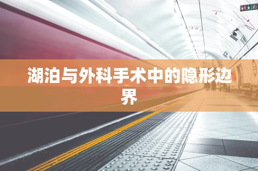 湖泊与外科手术中的隐形边界