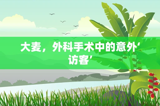 大麦，外科手术中的意外‘访客’