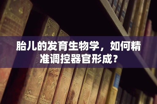 胎儿的发育生物学，如何精准调控器官形成？
