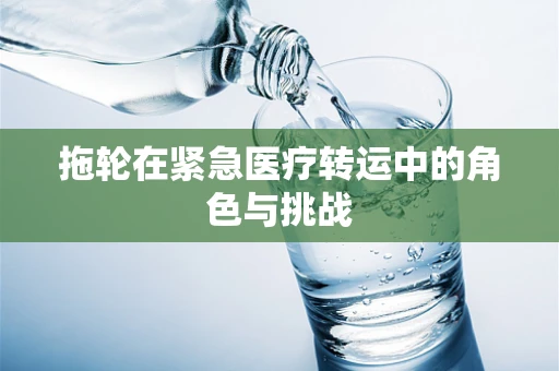 拖轮在紧急医疗转运中的角色与挑战