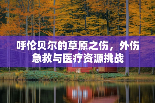 呼伦贝尔的草原之伤，外伤急救与医疗资源挑战