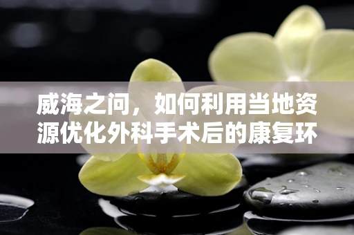 威海之问，如何利用当地资源优化外科手术后的康复环境？