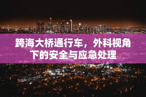 跨海大桥通行车，外科视角下的安全与应急处理