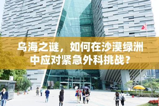 乌海之谜，如何在沙漠绿洲中应对紧急外科挑战？