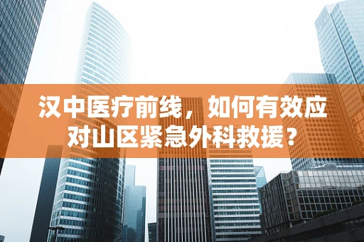 汉中医疗前线，如何有效应对山区紧急外科救援？