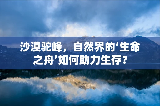 沙漠驼峰，自然界的‘生命之舟’如何助力生存？