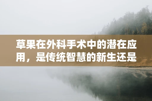草果在外科手术中的潜在应用，是传统智慧的新生还是未知领域的探索？