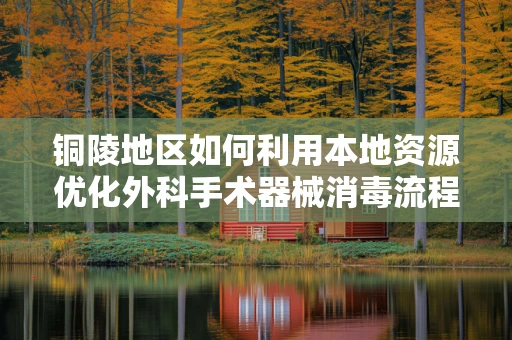 铜陵地区如何利用本地资源优化外科手术器械消毒流程？