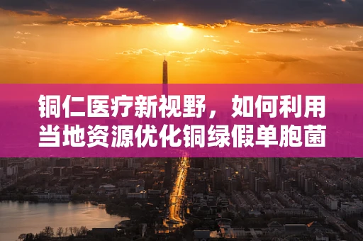 铜仁医疗新视野，如何利用当地资源优化铜绿假单胞菌感染的手术治疗？