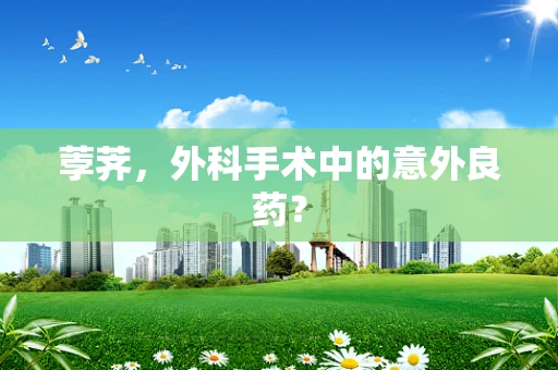 荸荠，外科手术中的意外良药？
