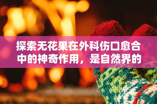 探索无花果在外科伤口愈合中的神奇作用，是自然界的奇迹还是误解的传说？