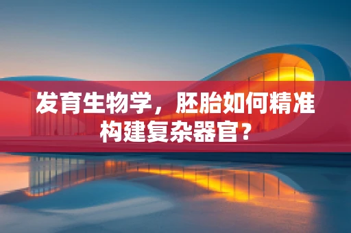 发育生物学，胚胎如何精准构建复杂器官？
