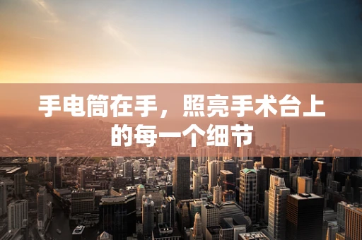 手电筒在手，照亮手术台上的每一个细节