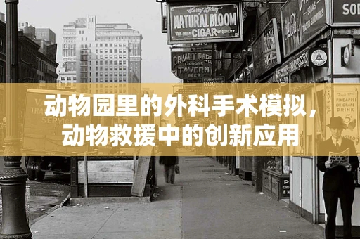 动物园里的外科手术模拟，动物救援中的创新应用