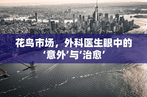 花鸟市场，外科医生眼中的‘意外’与‘治愈’