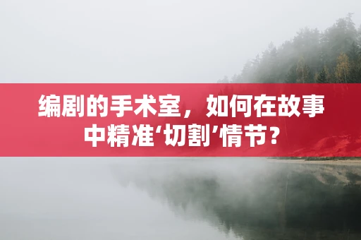 编剧的手术室，如何在故事中精准‘切割’情节？