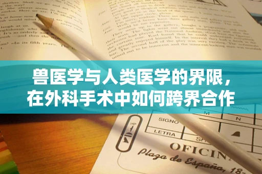 兽医学与人类医学的界限，在外科手术中如何跨界合作？
