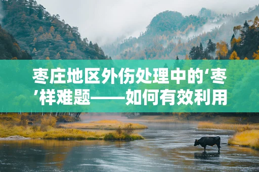 枣庄地区外伤处理中的‘枣’样难题——如何有效利用当地资源进行急救？