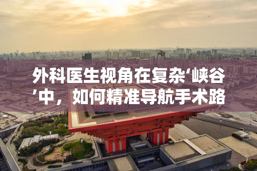 外科医生视角在复杂‘峡谷’中，如何精准导航手术路径？