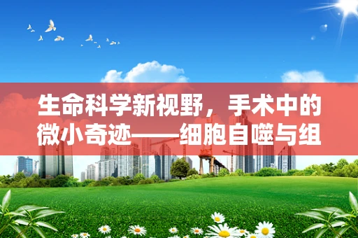 生命科学新视野，手术中的微小奇迹——细胞自噬与组织修复的奥秘