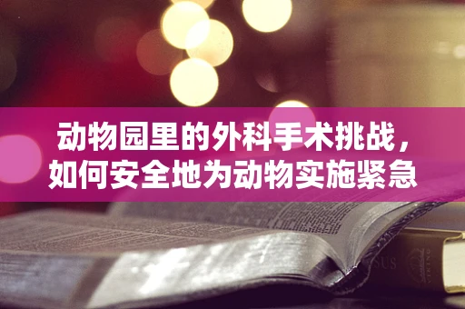 动物园里的外科手术挑战，如何安全地为动物实施紧急治疗？