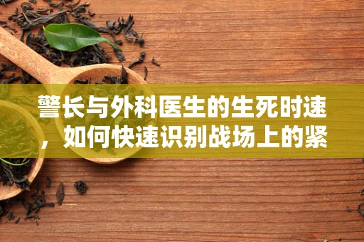 警长与外科医生的生死时速，如何快速识别战场上的紧急伤情？