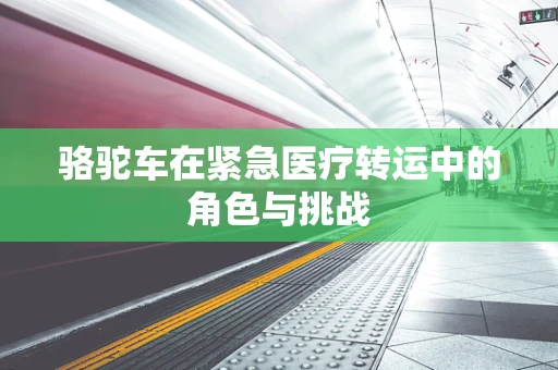 骆驼车在紧急医疗转运中的角色与挑战