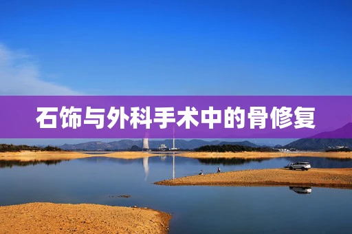 石饰与外科手术中的骨修复