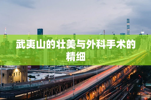 武夷山的壮美与外科手术的精细