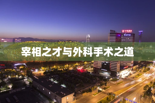 宰相之才与外科手术之道