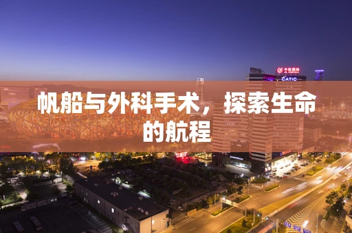 帆船与外科手术，探索生命的航程