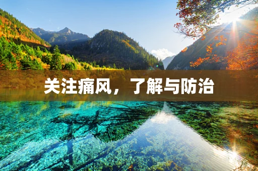 关注痛风，了解与防治