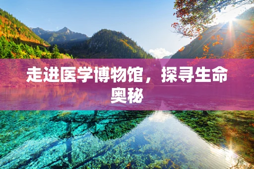 走进医学博物馆，探寻生命奥秘