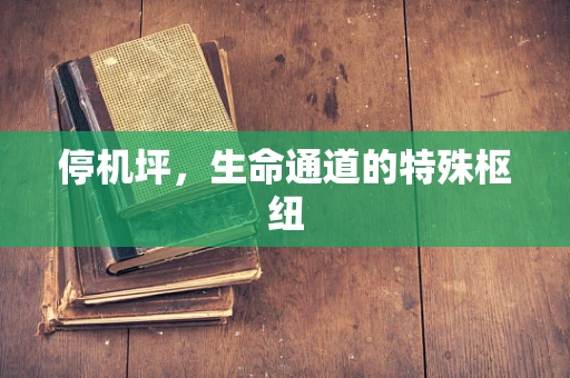 停机坪，生命通道的特殊枢纽