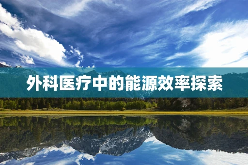 外科医疗中的能源效率探索