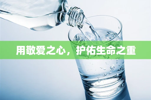 用敬爱之心，护佑生命之重