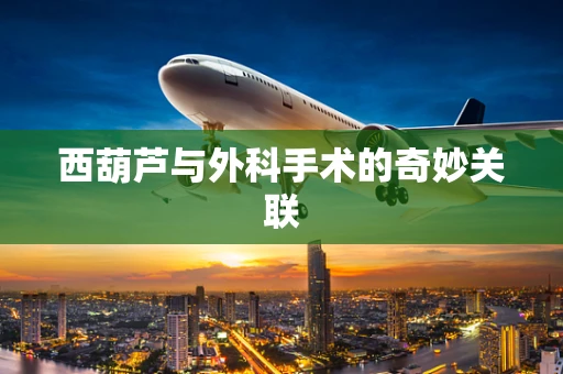 西葫芦与外科手术的奇妙关联