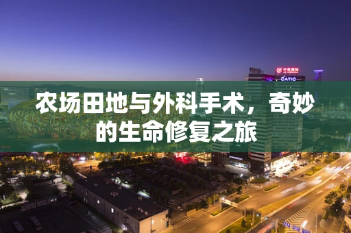 农场田地与外科手术，奇妙的生命修复之旅